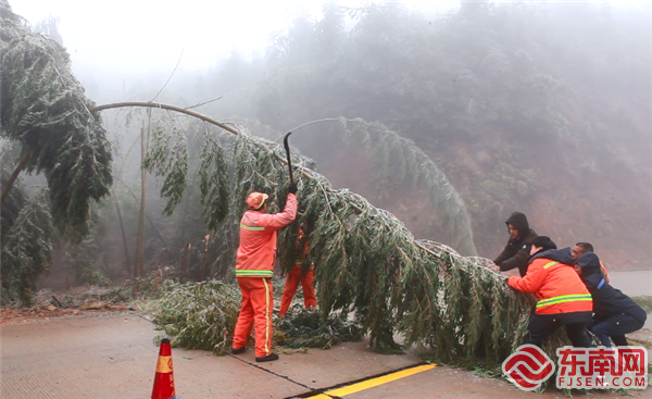 12月15日，在建宁县G528线高海拔岩上路段，县公路分局工作人员正在清理沿途被冰凌压弯的断竹。（王毅 摄） (1).png