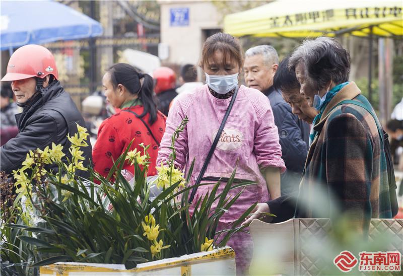 2月22日，在将乐备耕圩上顾客在选购兰花。董观生摄.jpg