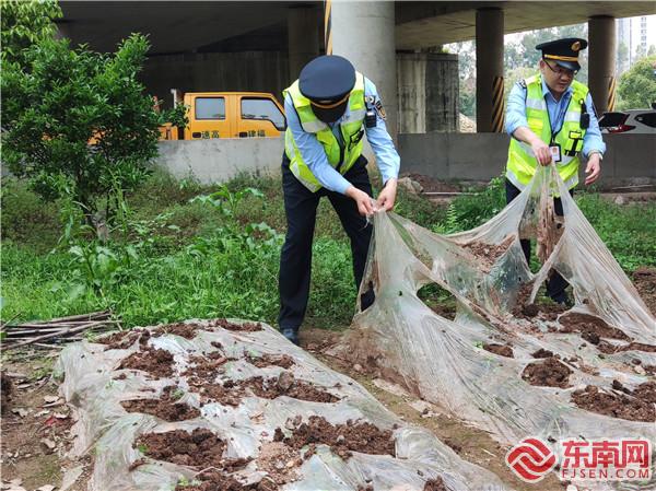4月14日，清理公路用地占用 (2).jpg