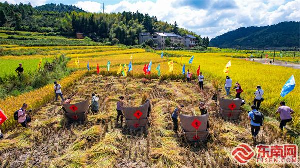 三明宁化县2023年中国农民丰收节成功举办