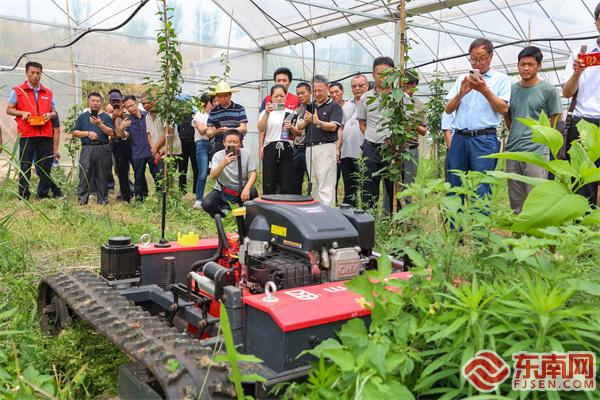 国家梨产业技术体系现代果业示范带建设交流会在建宁县召开