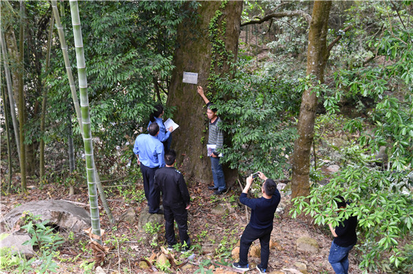 聚焦重大活动 网络文化节“拉满”氛围感