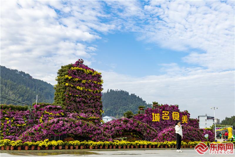 菊花组成的景观造型颇为壮观.jpg