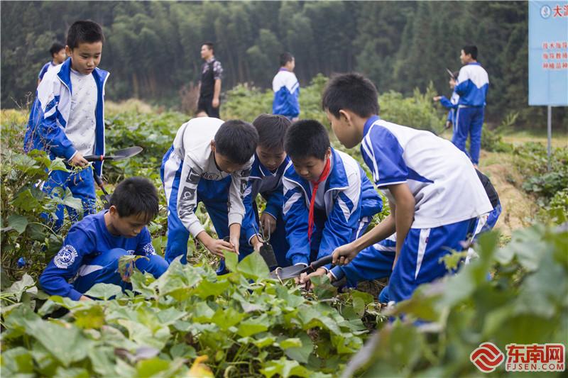 学生在实践基地收获劳动成果。董观生摄.jpg