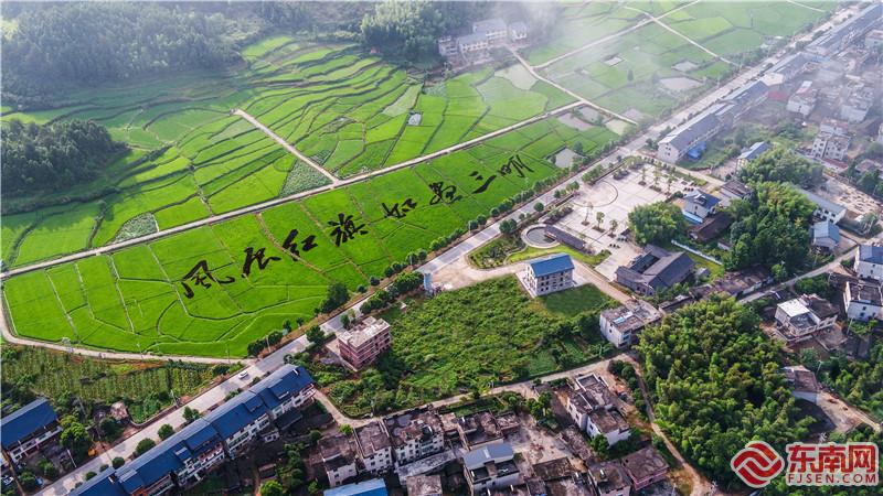 八个字“镶嵌”在稻田之中，展现出一幅“红色”文化与“绿色”水稻结合的稻田美景。.jpg