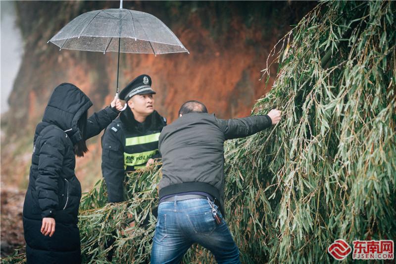 图为民警与群众一起清理被冰雪压垮横在路中的竹子.jpg