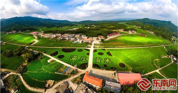 “温庄贡米”种植基地。（明溪县摄影家协会   供图）.jpg