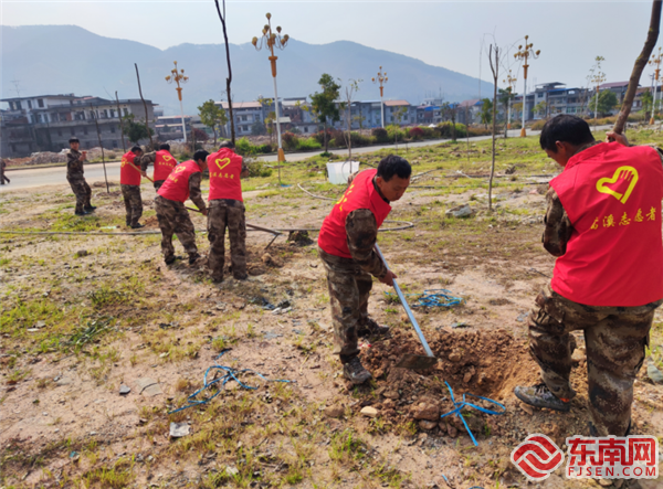 义务植树，清流县退役军人局供图.png