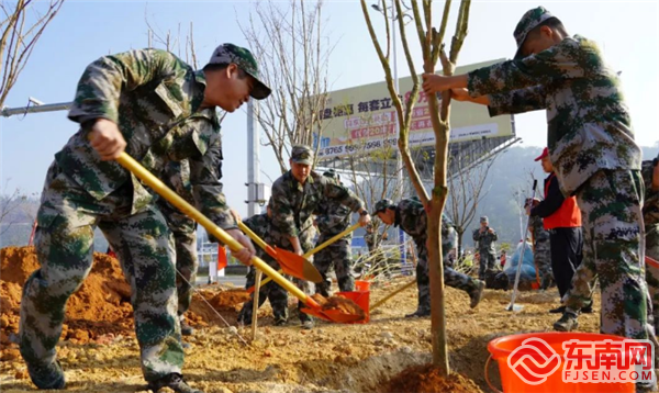 义务植树，尤溪县退役军人局供图.png