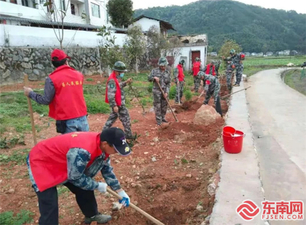 义务植树，将乐县退役军人局供图.png