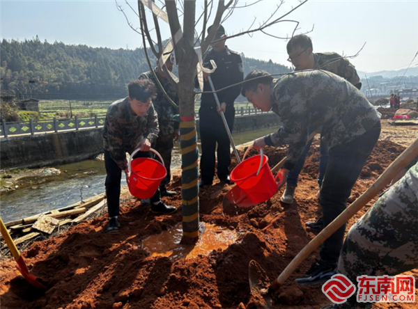 义务植树，泰宁县退役军人局供图.png