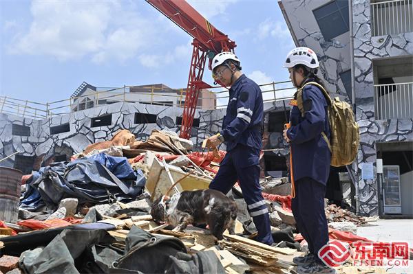 国内参赛队训导员指挥搜救犬在模拟地震现场进行搜救.jpg